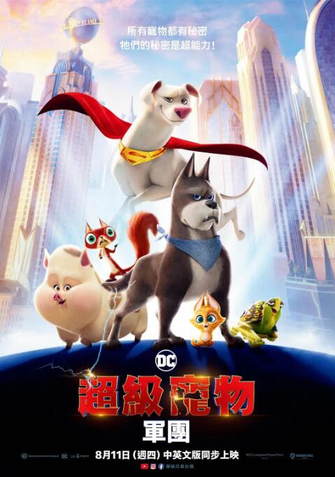 网站看片