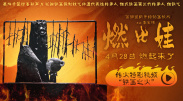 一级特黄a