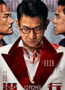 我的女友是傻瓜